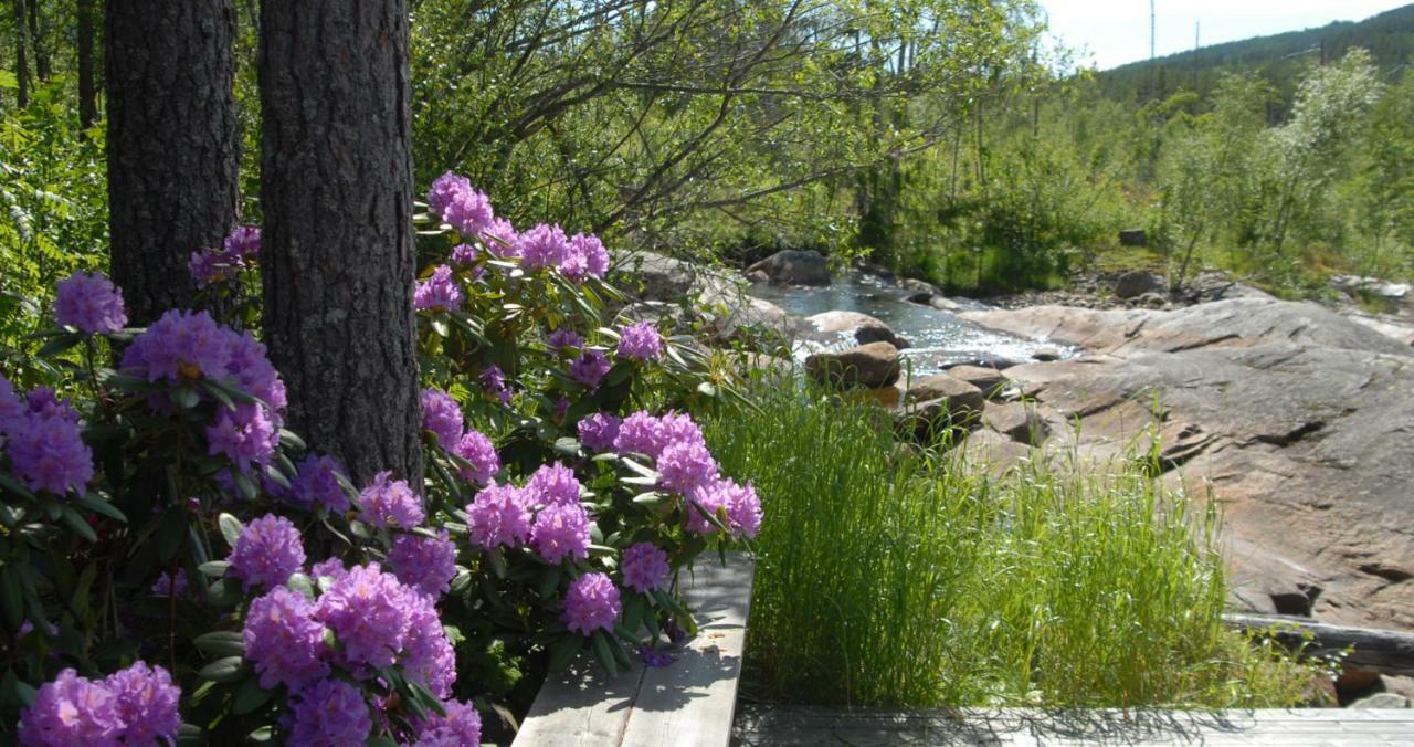 Fossumsanden Camping Og Hytter Fyresdal Екстер'єр фото